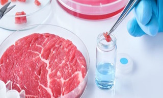 Лабораторный анализ пищевых продуктов по СанПиН в Новошахтинске в октябре