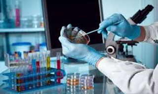 Лабораторный анализ воды из колодца в Новошахтинске в октябре