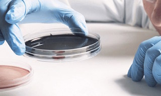 Инженерно-геодезические изыскания под ключ в Новошахтинске в октябре