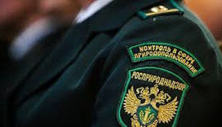 Подготовка к проверке Росприроднадзора в Новошахтинске от ПромМир, стоимость услуги от 20832 руб.
