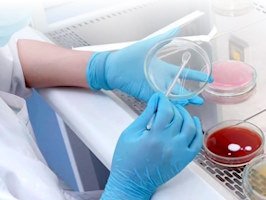 Санитарно-эпидемиологические услуги Новошахтинск
